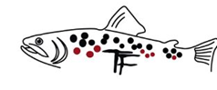 Tommi-fly